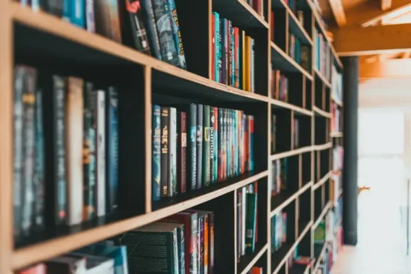 Biblioteka w Dobczycach z dofinansowaniem na nowości wydawnicze
