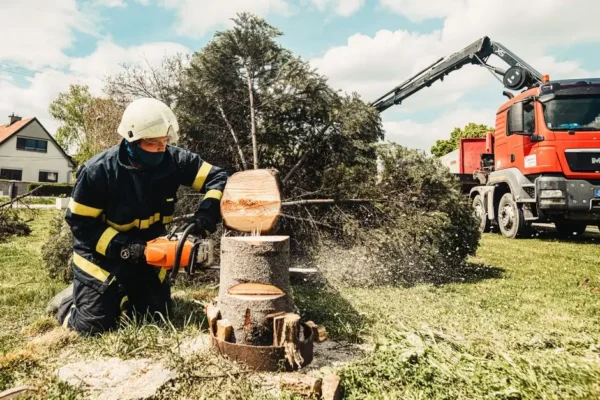 OSP Lipnik usuwała skutki nawałnicy w Bielsku-Białej