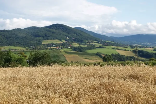 1,5 mln zł na przydomowe oczyszczalnie ścieków w gminie Raciechowice
