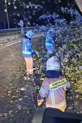Gwałtowna burza i wiatr – działania strażaków z OSP Krzywaczka