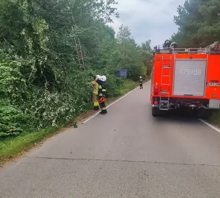 Drzewa blokują drogę gminną w Raciechowicach – interwencja strażaków