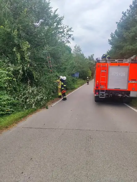 Drzewa blokują drogę gminną w Raciechowicach – interwencja strażaków