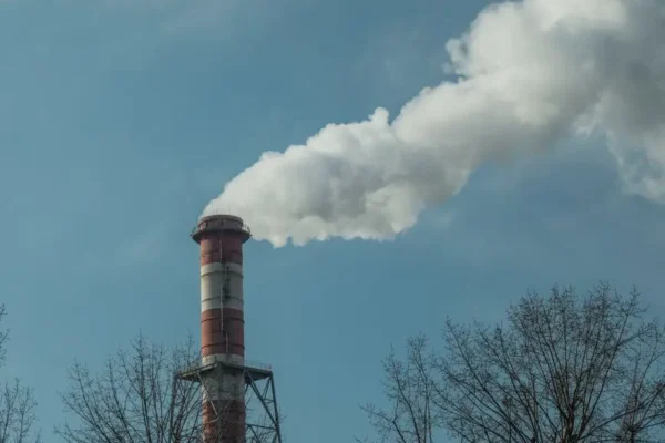 Akademia Wykonawcy: bezpłatne spotkanie dla realizujących program Czyste Powietrze
