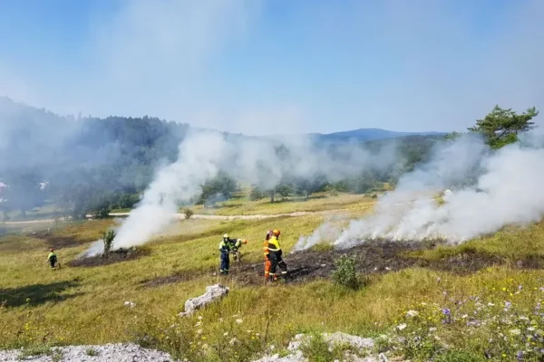 Zaskroniec przy ulicy Odrzańskiej – interwencja OSP Lipnik