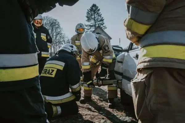 OSP Lipnik pomogła rannej sarnie w Bielsku-Białej