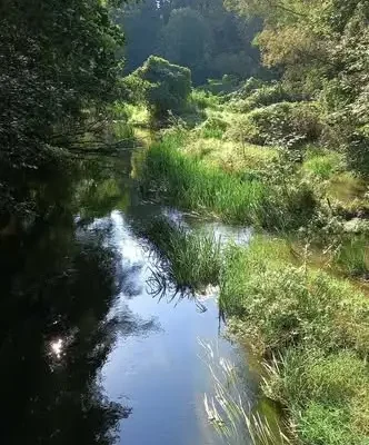 Camino de Santiago — 4000 km pieszo. Pierwszy etap z Sandomierza do Szczyrku
